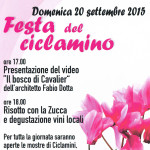 2015 FESTA DEL CICLAMINO AD ODERZO CON VIDEO DI FABIO DOTTA