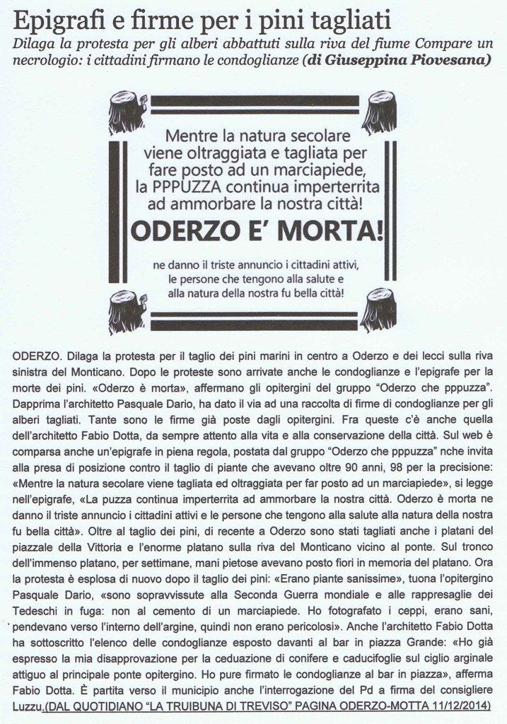 2014_Epigrafi e condoglianze per gli alberi tagliati ad ODERZO