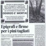 2014_Epigrafe per i pini marittimi taglaiti ad Oderzo