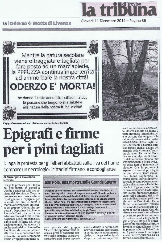 2014_Epigrafe per i pini marittimi taglaiti ad Oderzo