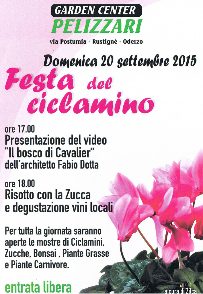 2015 FESTA DEL CICLAMINO AD ODERZO CON VIDEO DI FABIO DOTTA