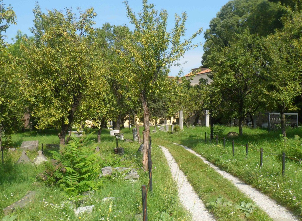 IL GIARDINO DEL CAPITANO INVASO A MACCHIA DI LEOPARDO DALL'ALIANTO