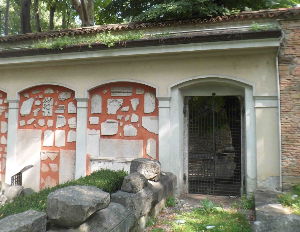 LE ERBE SULLA GRONDAIA DELLE ARCATE CIECHE DEL LAPIDARIO DI TRIESTE